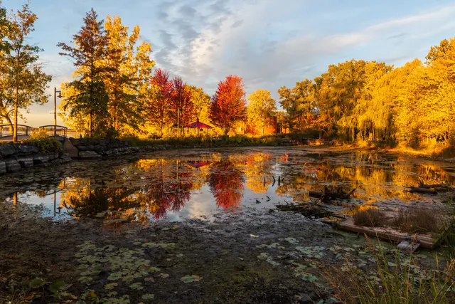 Belleville Turtle Pond