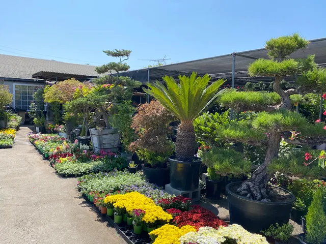 Evergreen Nursery