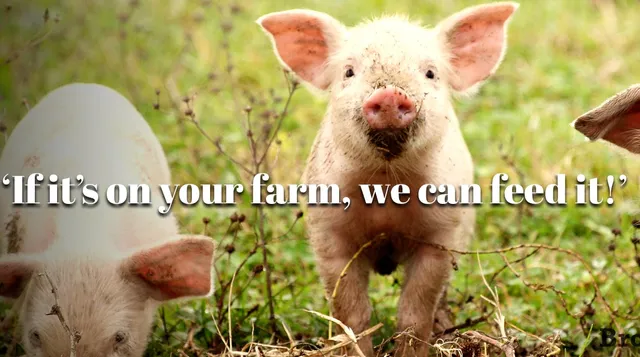 Brown City Elevator, Inc.