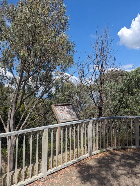 Black mountain trail summit