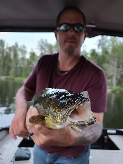 Browns' Clearwater West Lodge