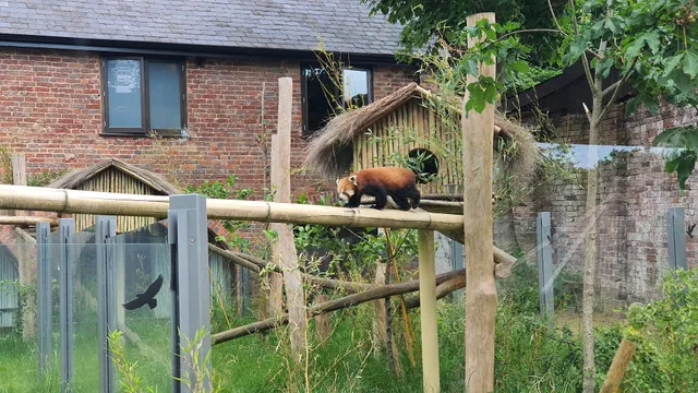 Adventure Theme Park