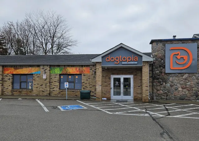 Dogtopia of Aurora Village