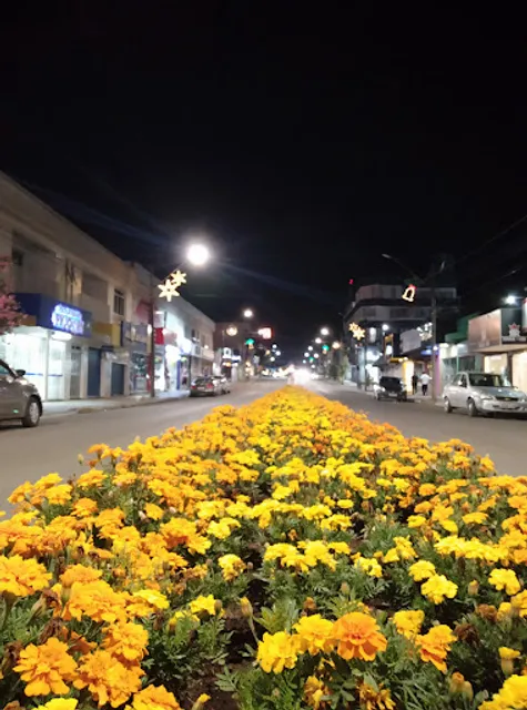 Cachorrão Quente Lanches