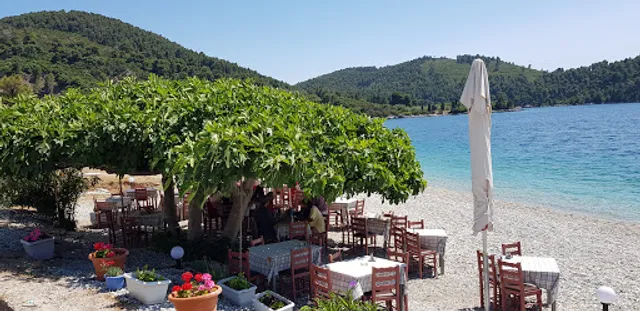 Yiannis Taverna