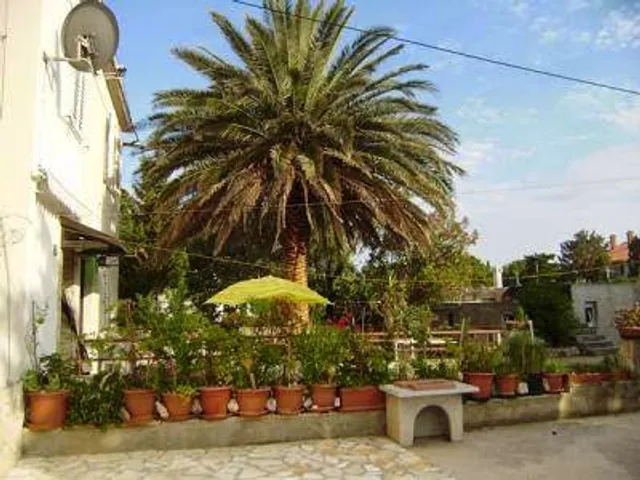 Apartmaji Novalja Pag