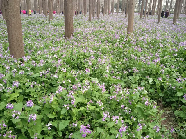 Nanjing University of Science and Technology