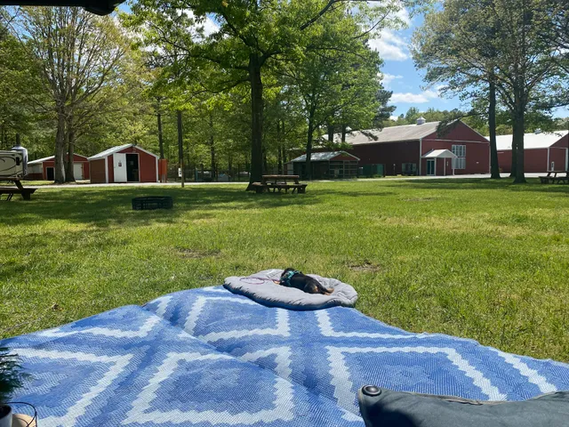 Adventures Await Retreat & Meadery/ Winery