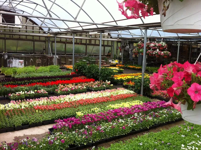 Morris County Farms Inc