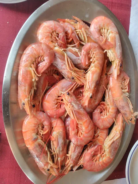 Café do Telheiro - Prato do dia