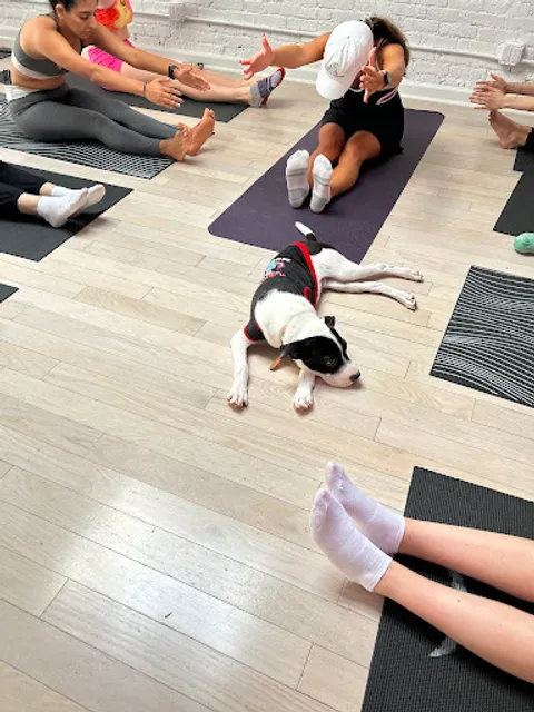 Woof Wellness