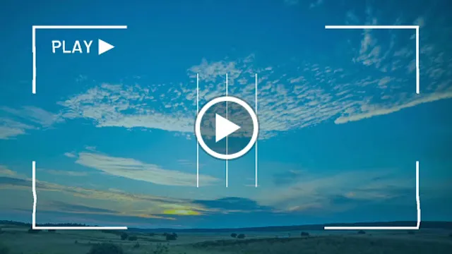 とんかつ新宿さぼてん アリオ市原店