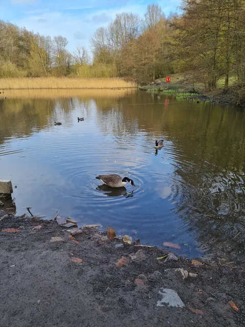 Baggeridge Country Park Car Park