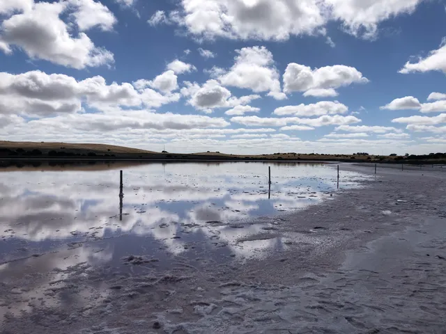 Coorong Pink Lake