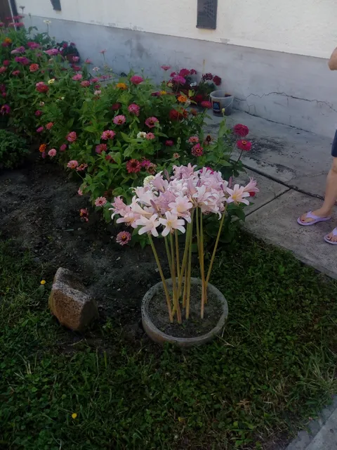 Central-Aqua Apartman