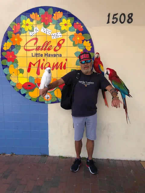 Pictures with Parrots