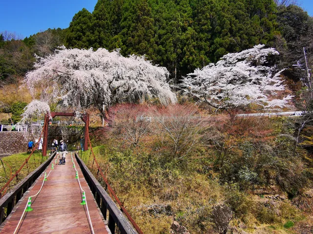 Uogafuchi Simple Suspension Bridge