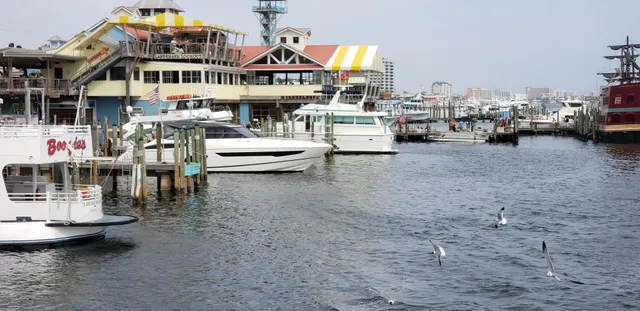 Destin Dolphin Cruise