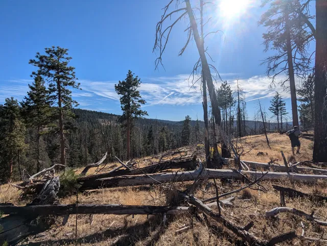 Ochoco National Forest & Crooked River National Grassland