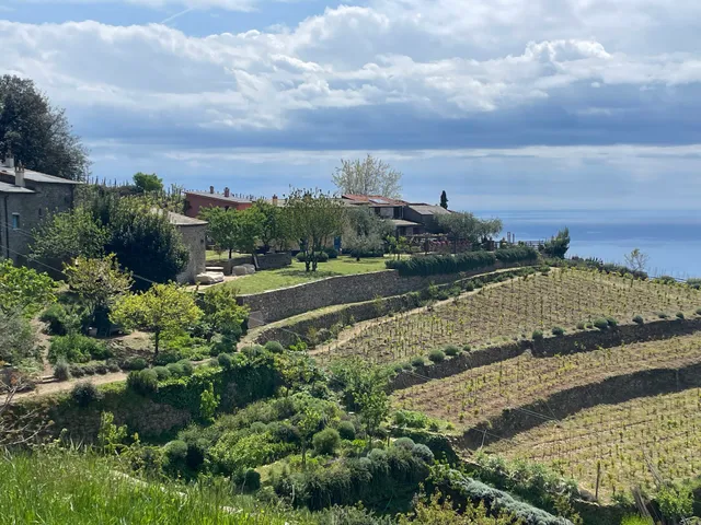 Stella di Lemmen Organic Farm&Vineyard