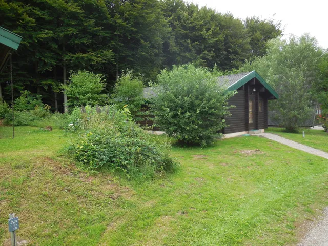 Ferienhaus 54 Ferienpark Twistesee Bad Arolsen