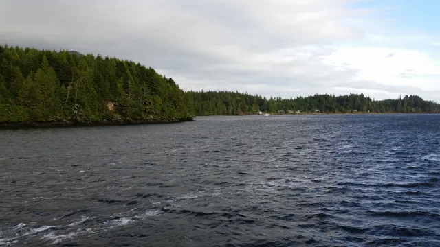Ucluelet Harbour Seafoods