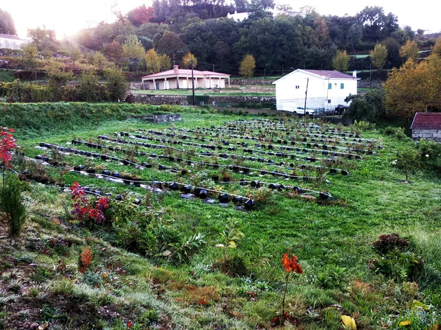 Quinta do Perguntouro