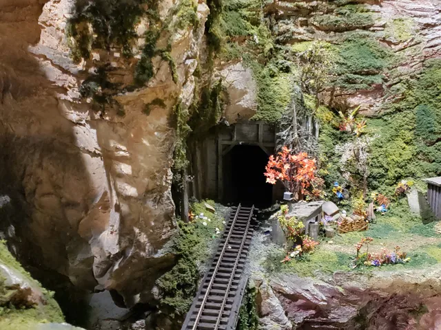 Children's Medical Center Dallas Emergency Room (ER)