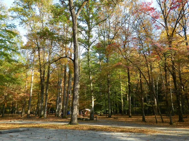 Campground Comfort Station #1