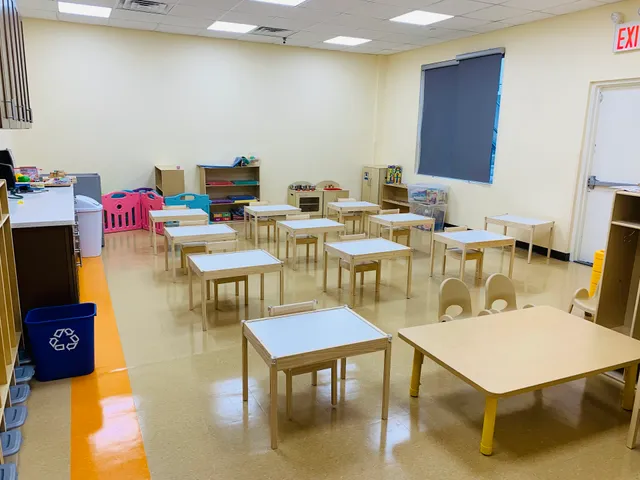 Little Tulip Daycare Center of Little Neck