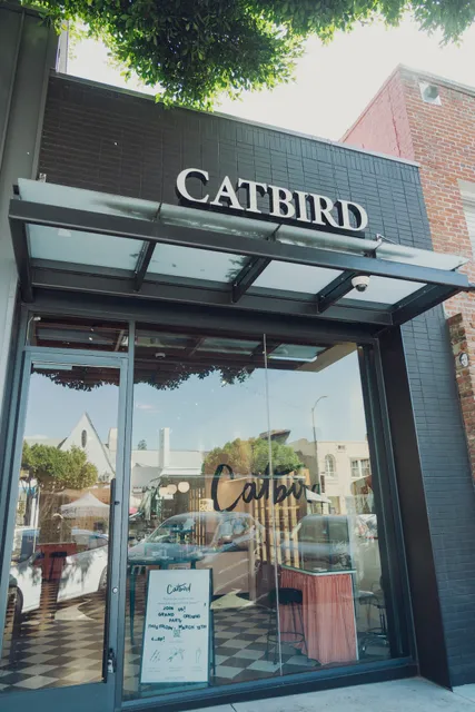 Catbird Larchmont