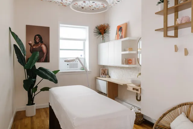 PeachFuzz Laser Studio