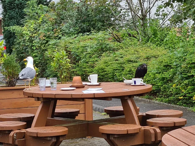 East Kilbride Harvester