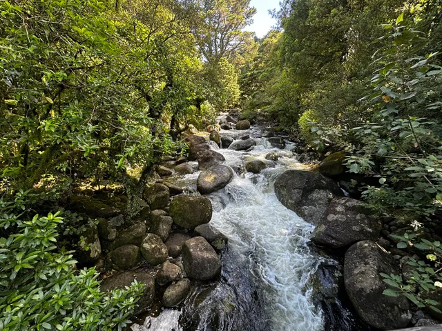 Wairere Falls Trail Head