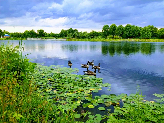Lake Artemesia Butterfly Garden