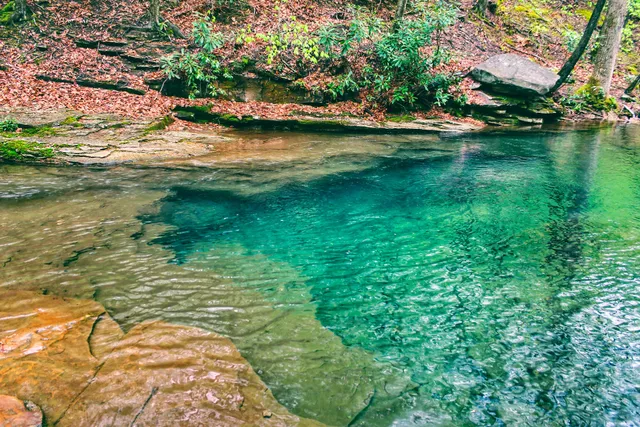 Forbes State Forest, Blue Hole