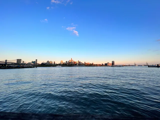 Dog Park East River Esplanade South