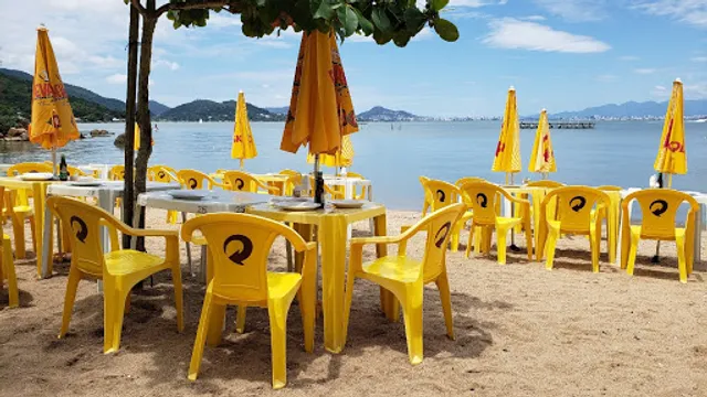 Gaivotas do Sambaqui