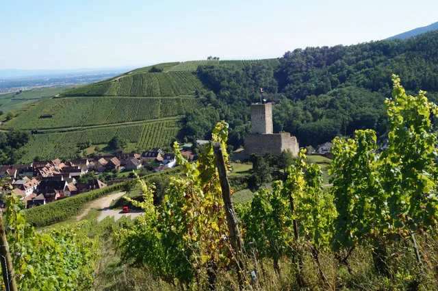 Les Gîtes de la Mère Michèle