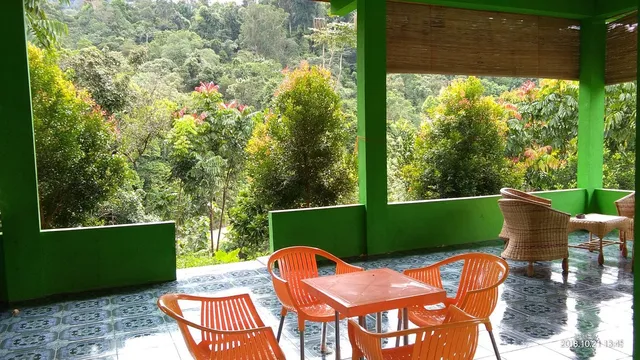 Green Forest Tangkahan