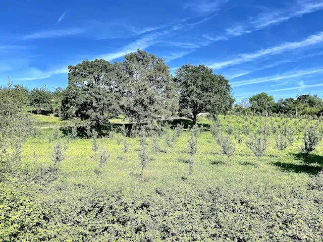 Camino de Santiago (Camino del Norte a El Salvador) La Pola Siero - Uviéu / Oviedo