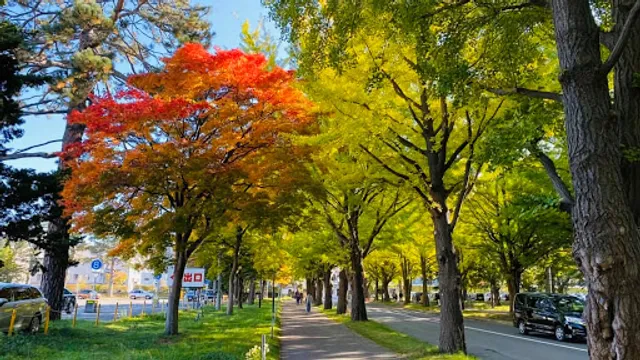 Hokkaido University