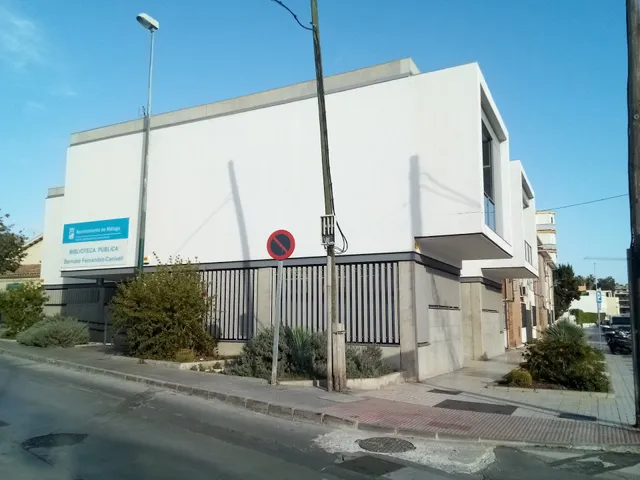 Bernabe Fernandez-Canivell library