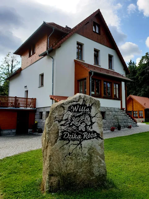 Willa Dzika Róża