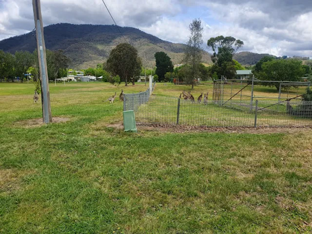 Talbingo Country Club and Chinese Restaurant