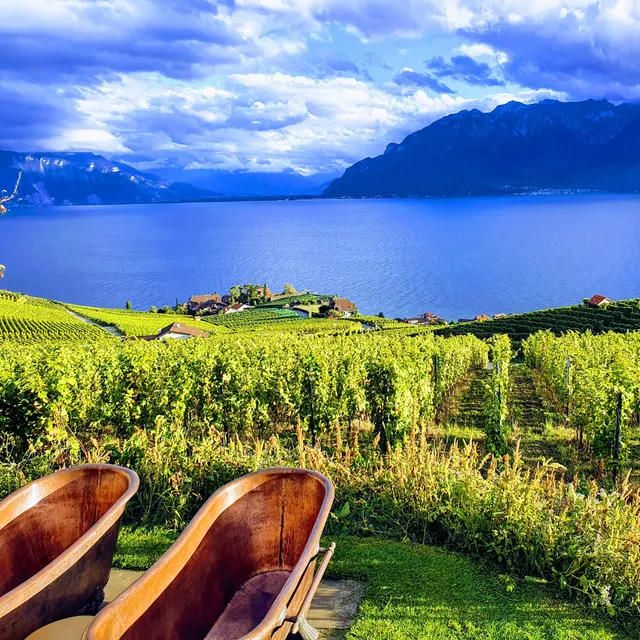 La Vigne - Swiss Wine Therapy | Chexbres