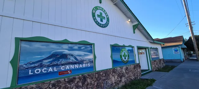 Mount Shasta Collective
