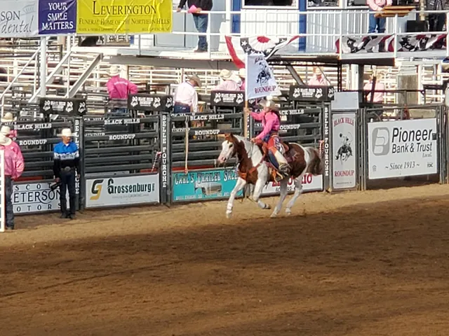 Black Hills Roundup