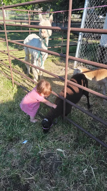 Josten's petting zoo