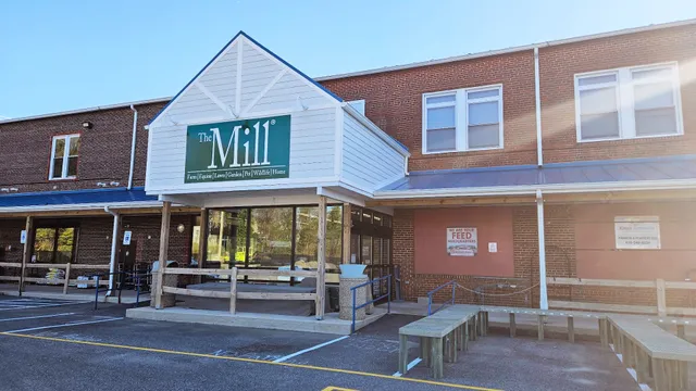 The Mill of Salisbury